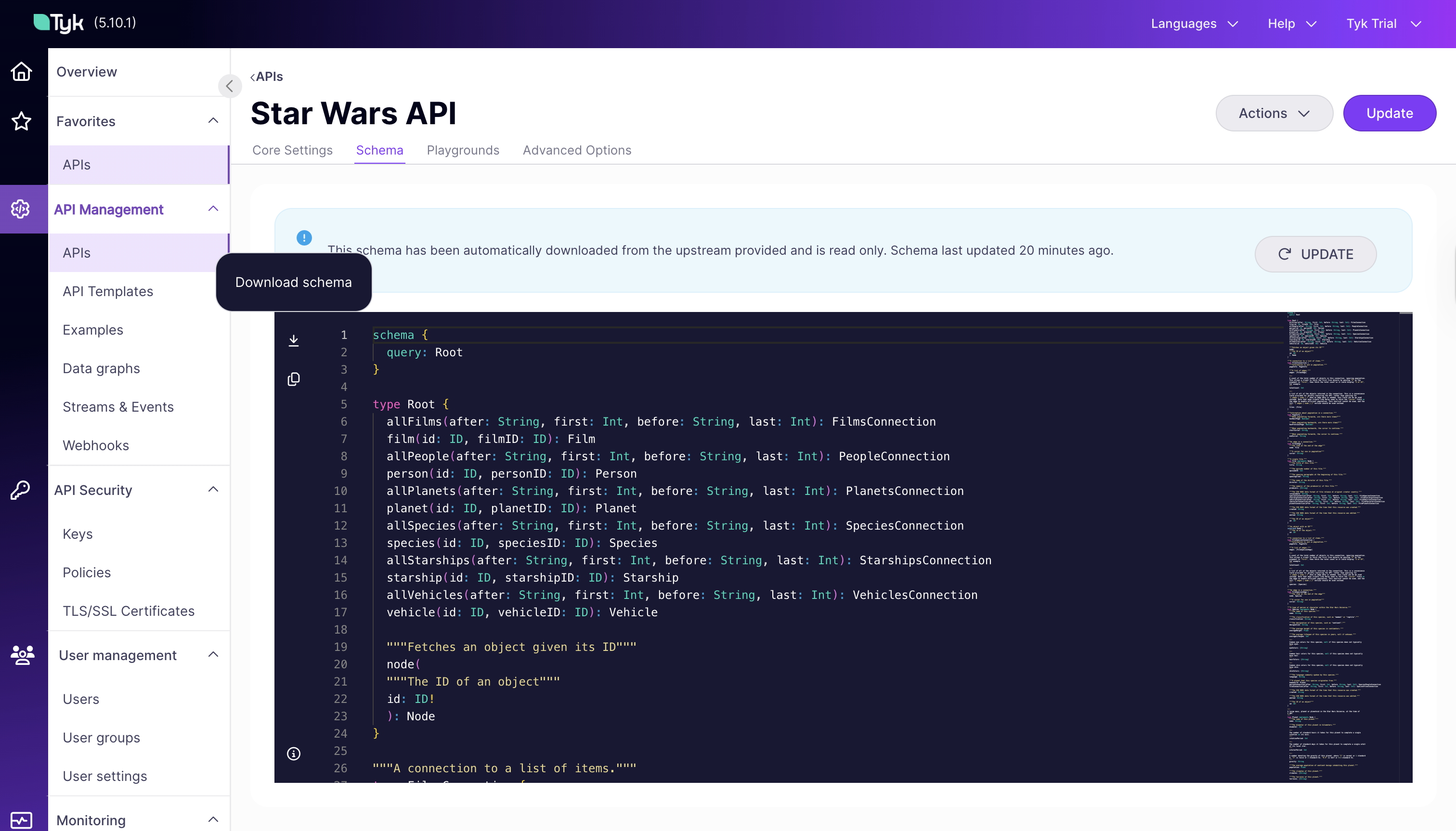 GraphQL API Schema Tab