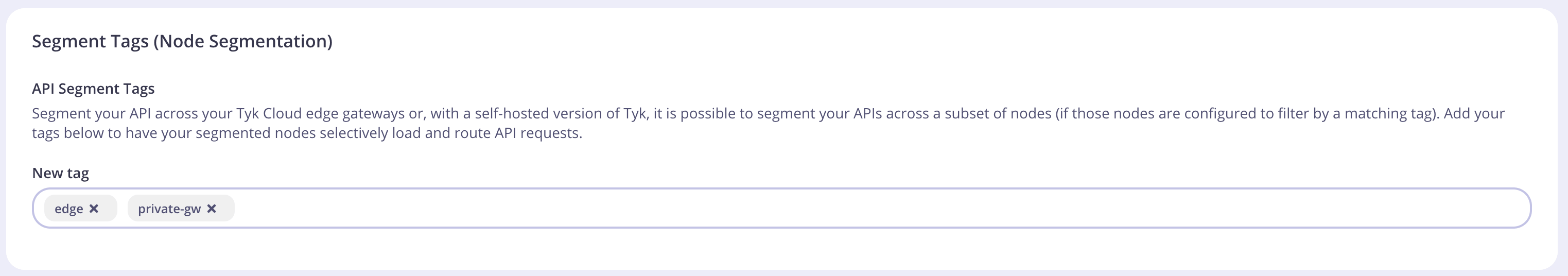 Segment tags section