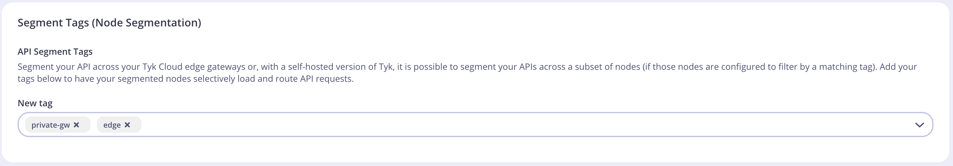 List of segment tags