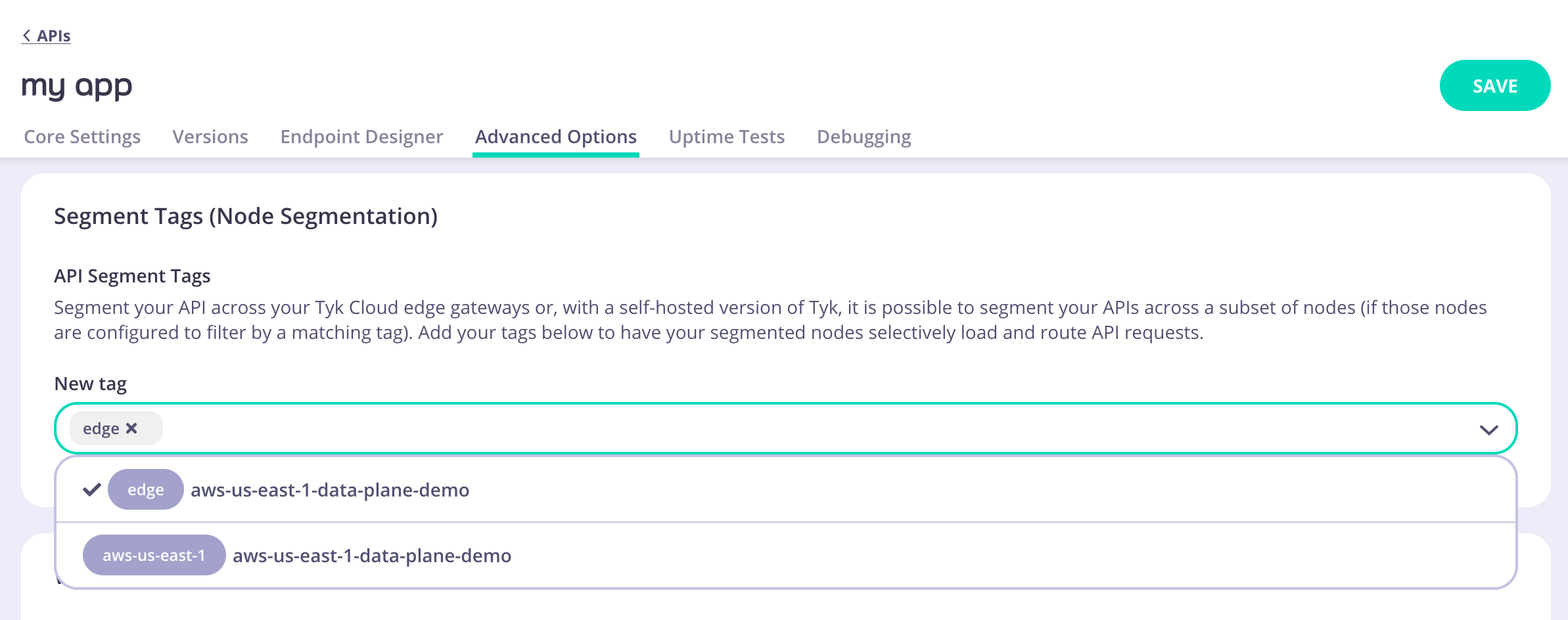 Segment Tags