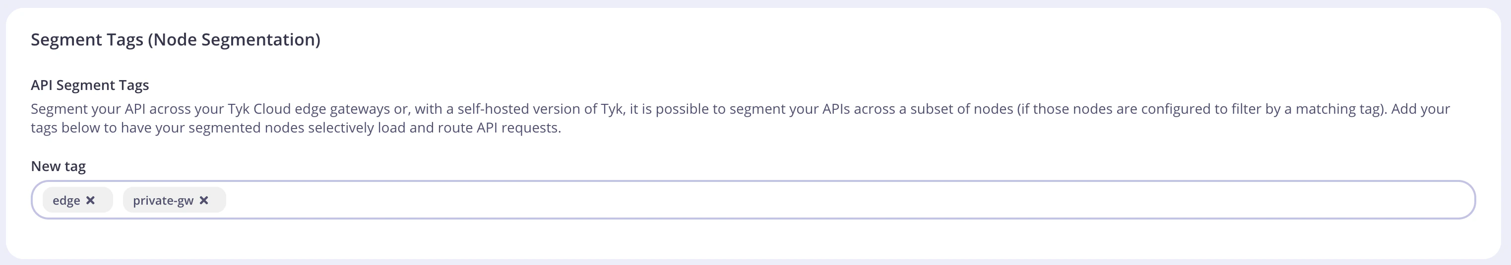 Segment tags section