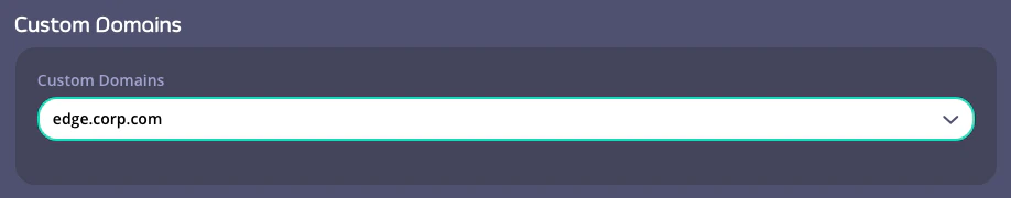 Cloud Data Plane Custom Domain