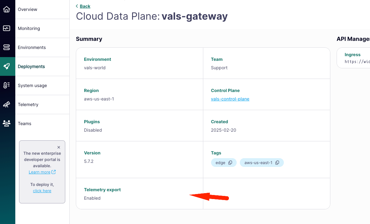 Tyk Cloud Data Plane Telemetry Enabled