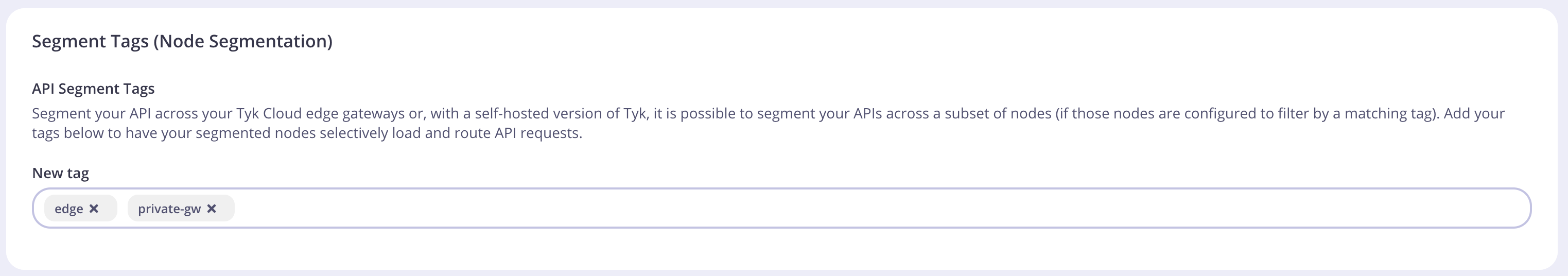 Segment tags section
