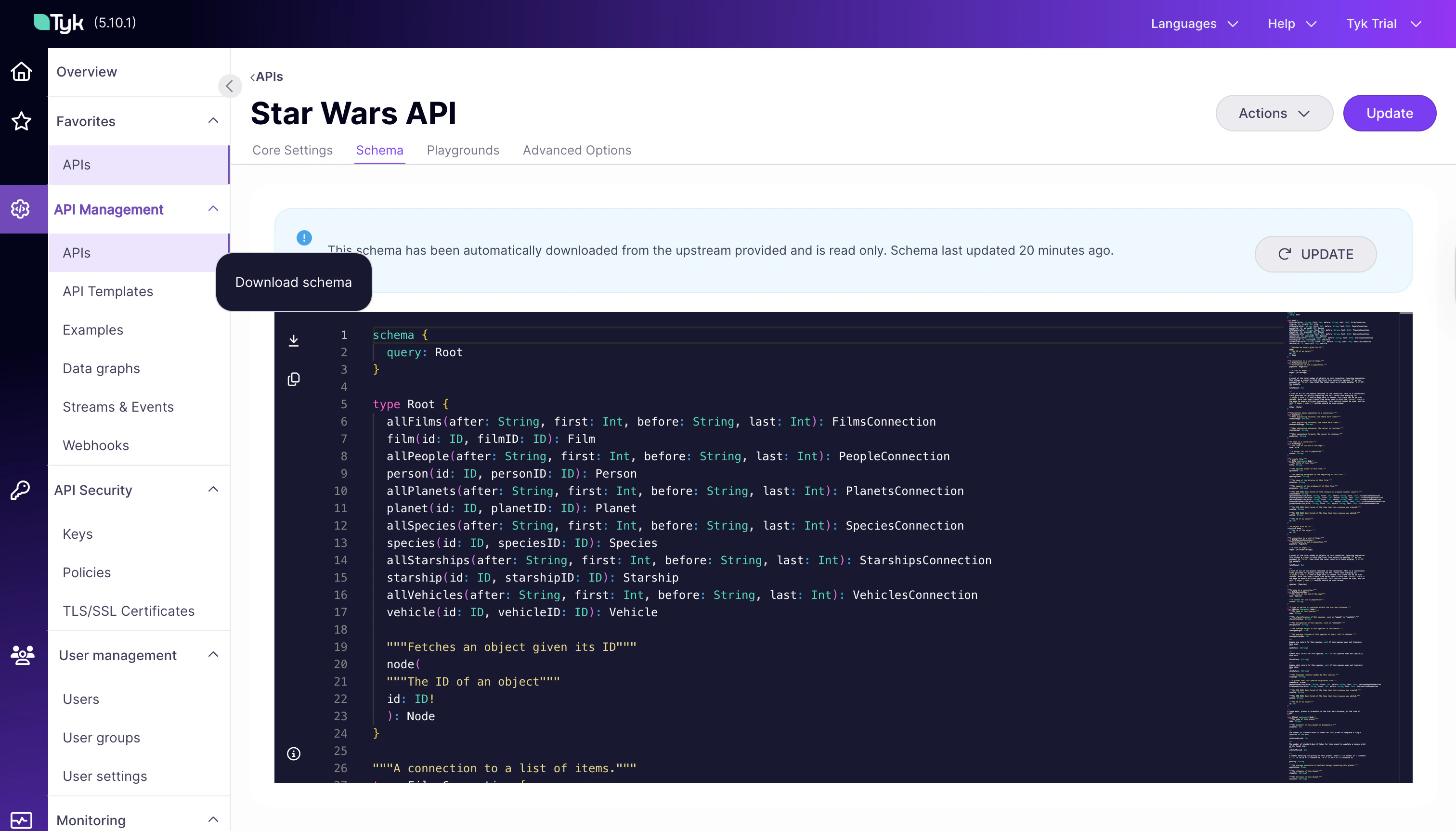 GraphQL API Schema Tab