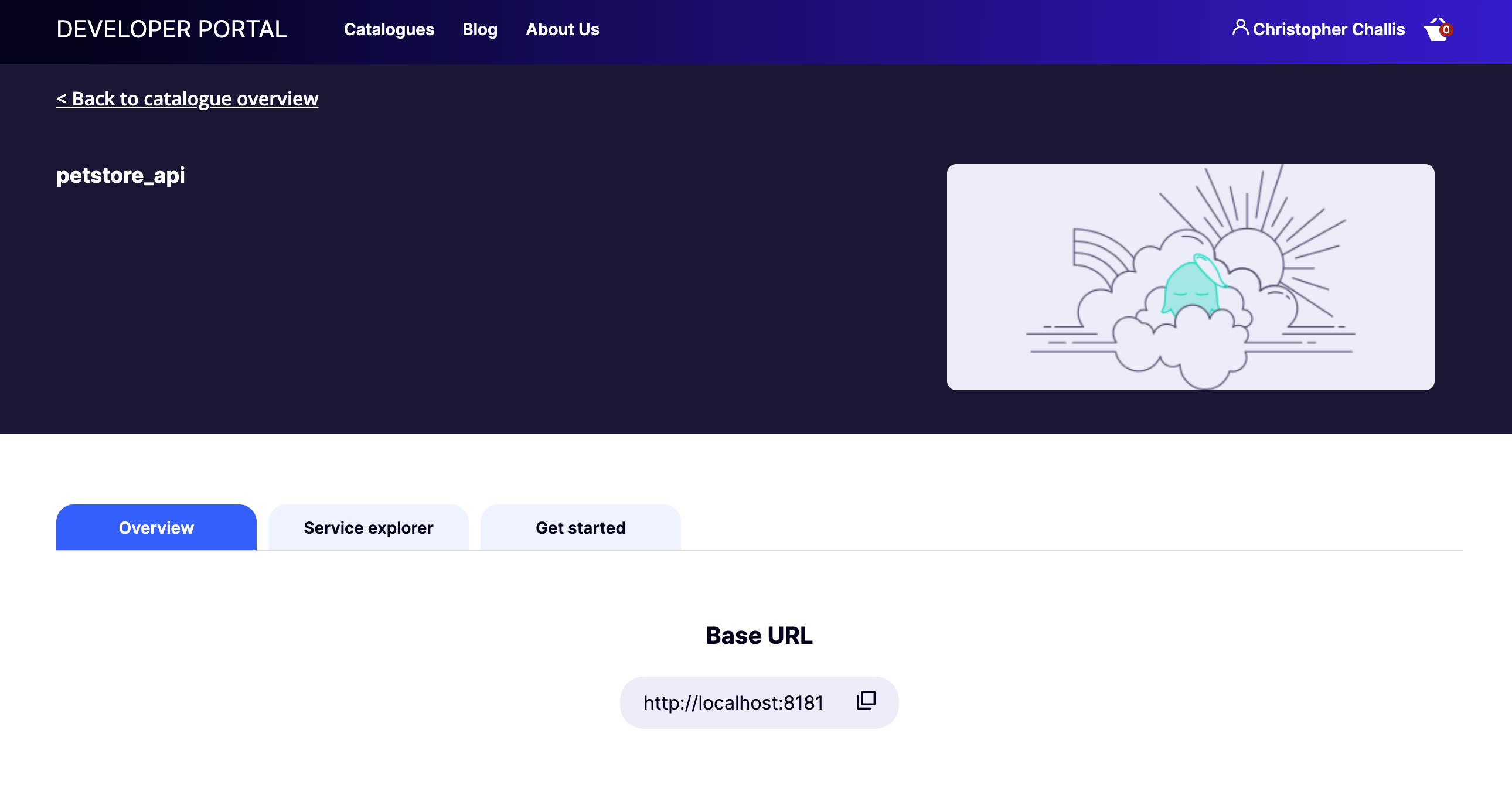 Live Portal page for a documentation-only Product, showing the Overview, Service explorer, and Get Started tabs with no Request Access button