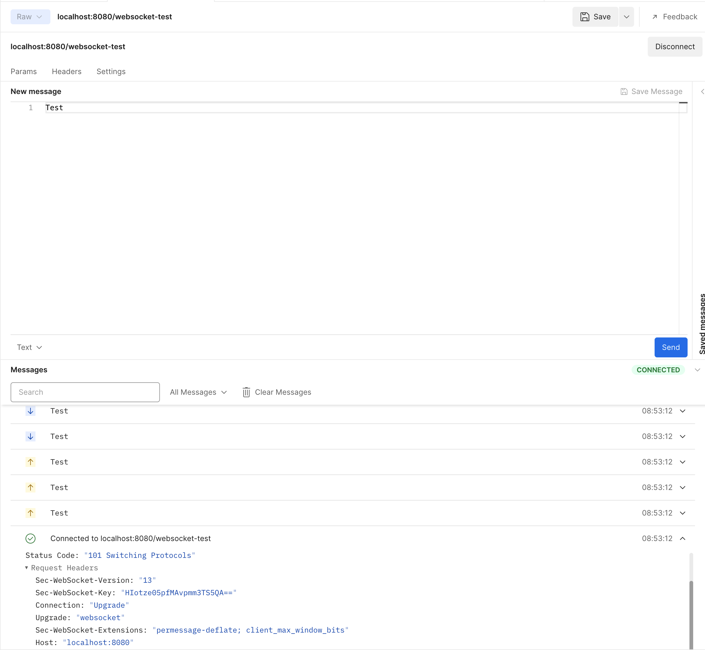 Postman WebSocket Connection Result