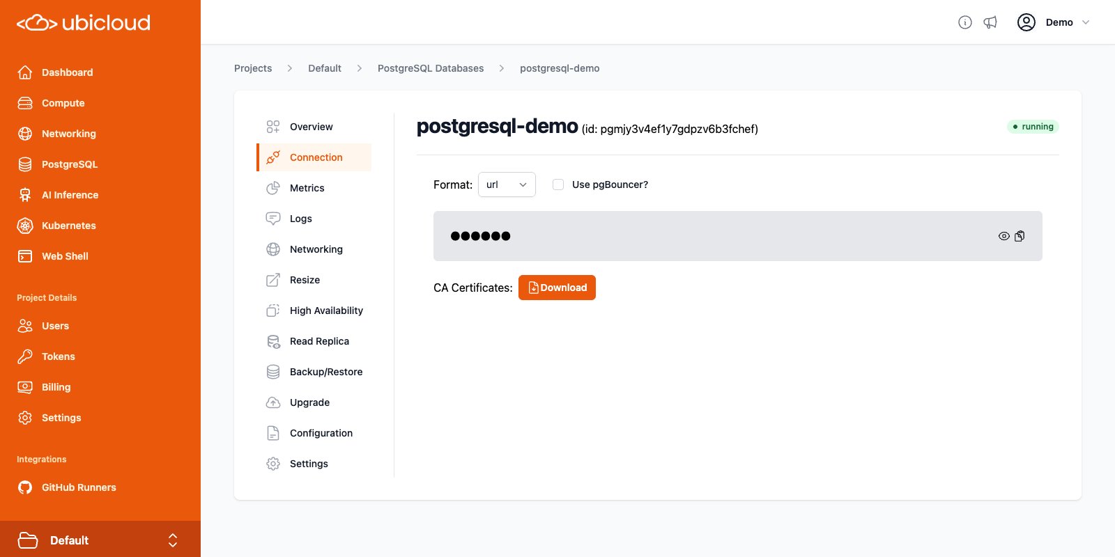 PostgreSQL Connection details