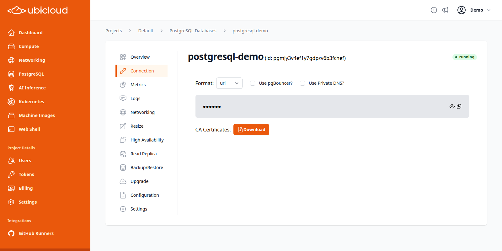 PostgreSQL Connection details