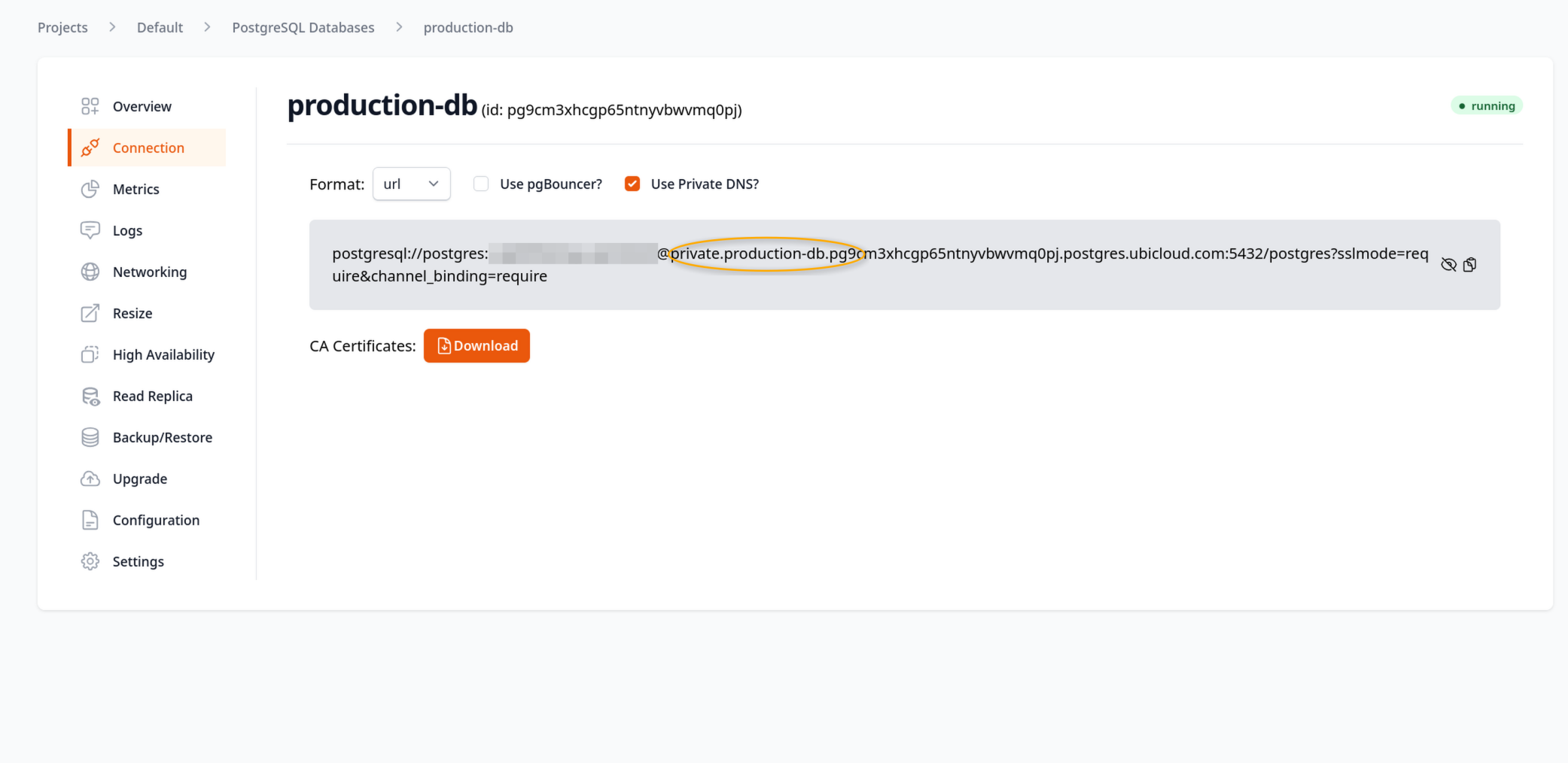 Private DNS for PostgreSQL