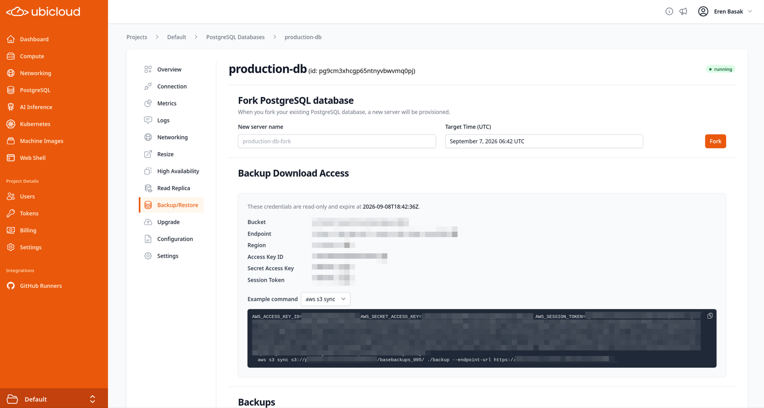 Postgres Backup Downloads