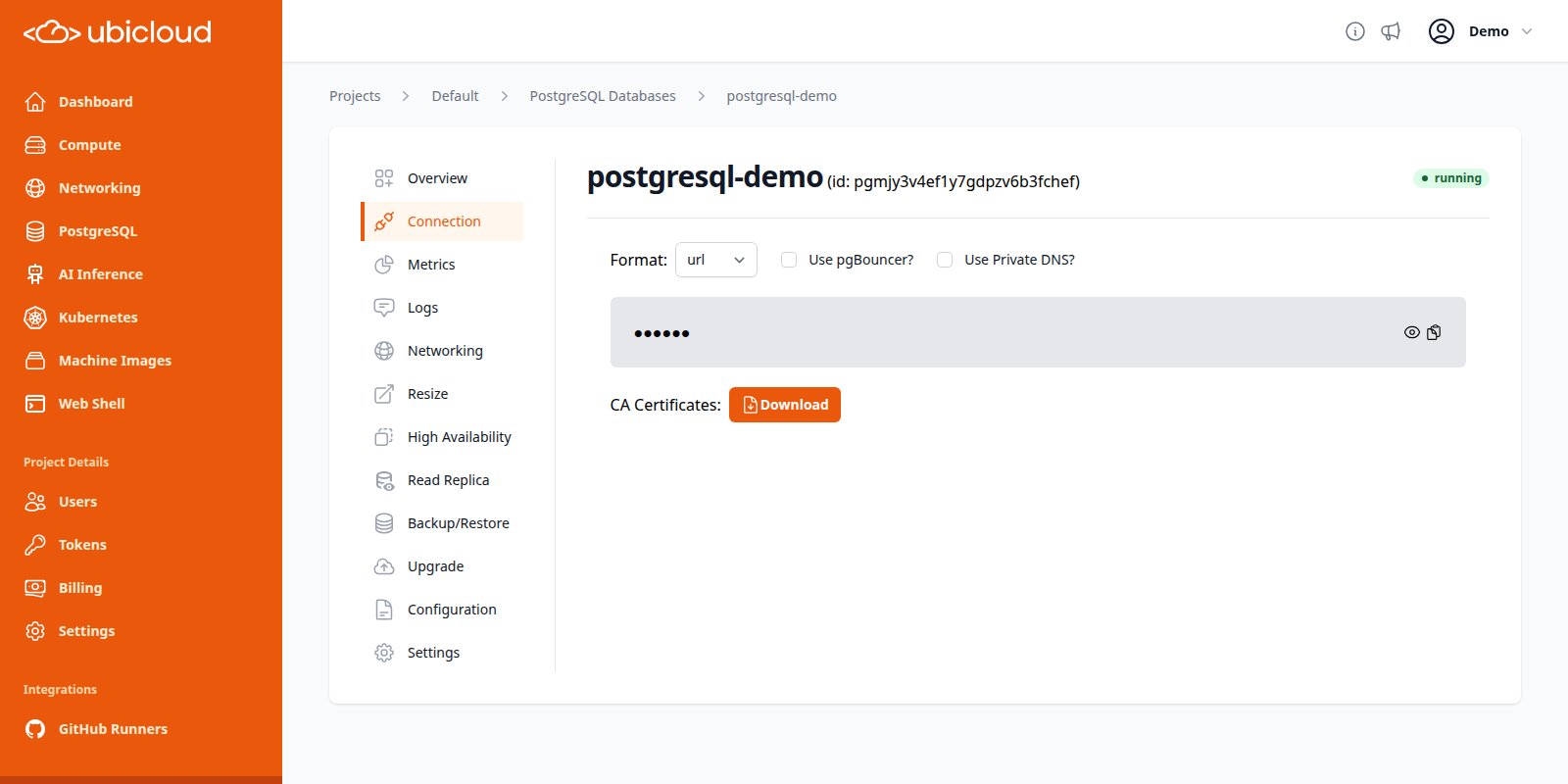 PostgreSQL Connection details