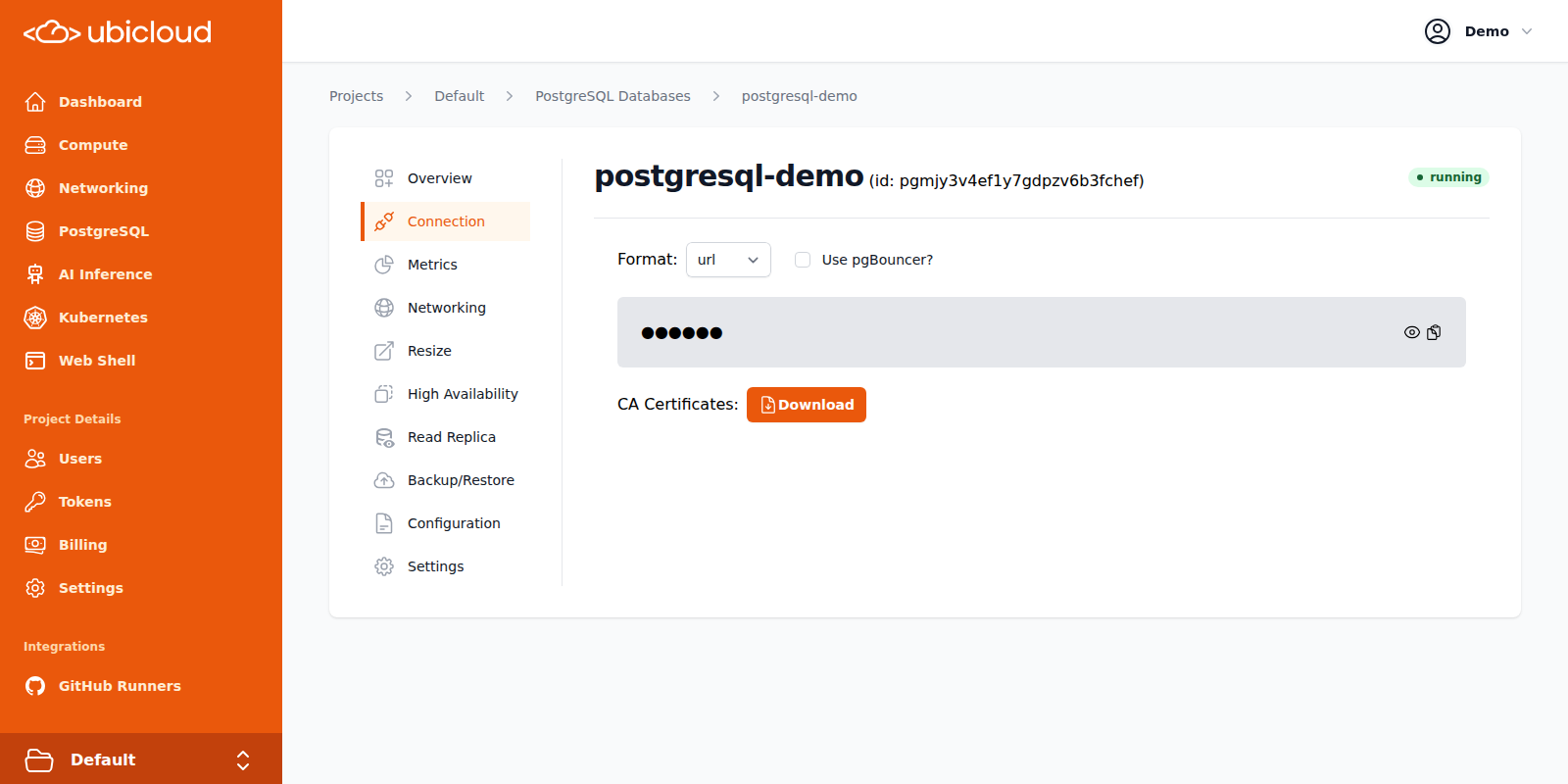PostgreSQL Connection details