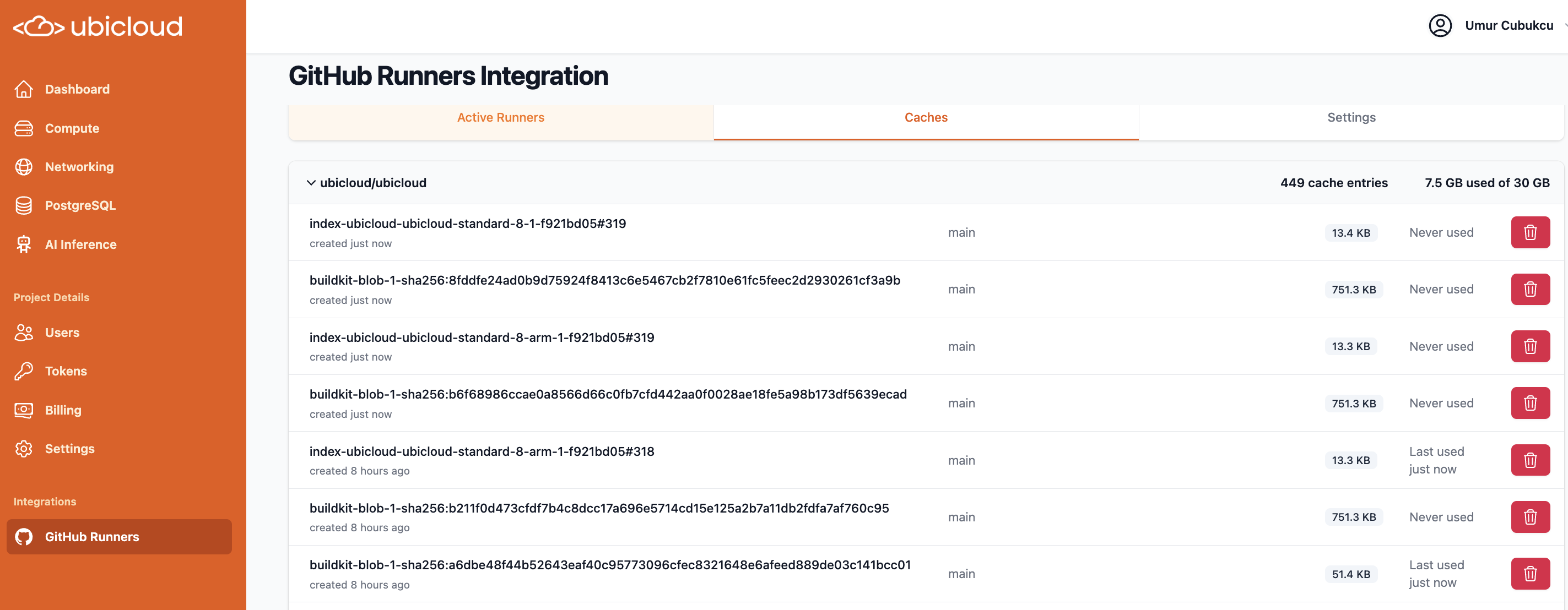 GitHub cache entries grouped by repository