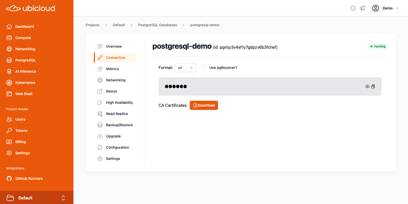 PostgreSQL Connection details