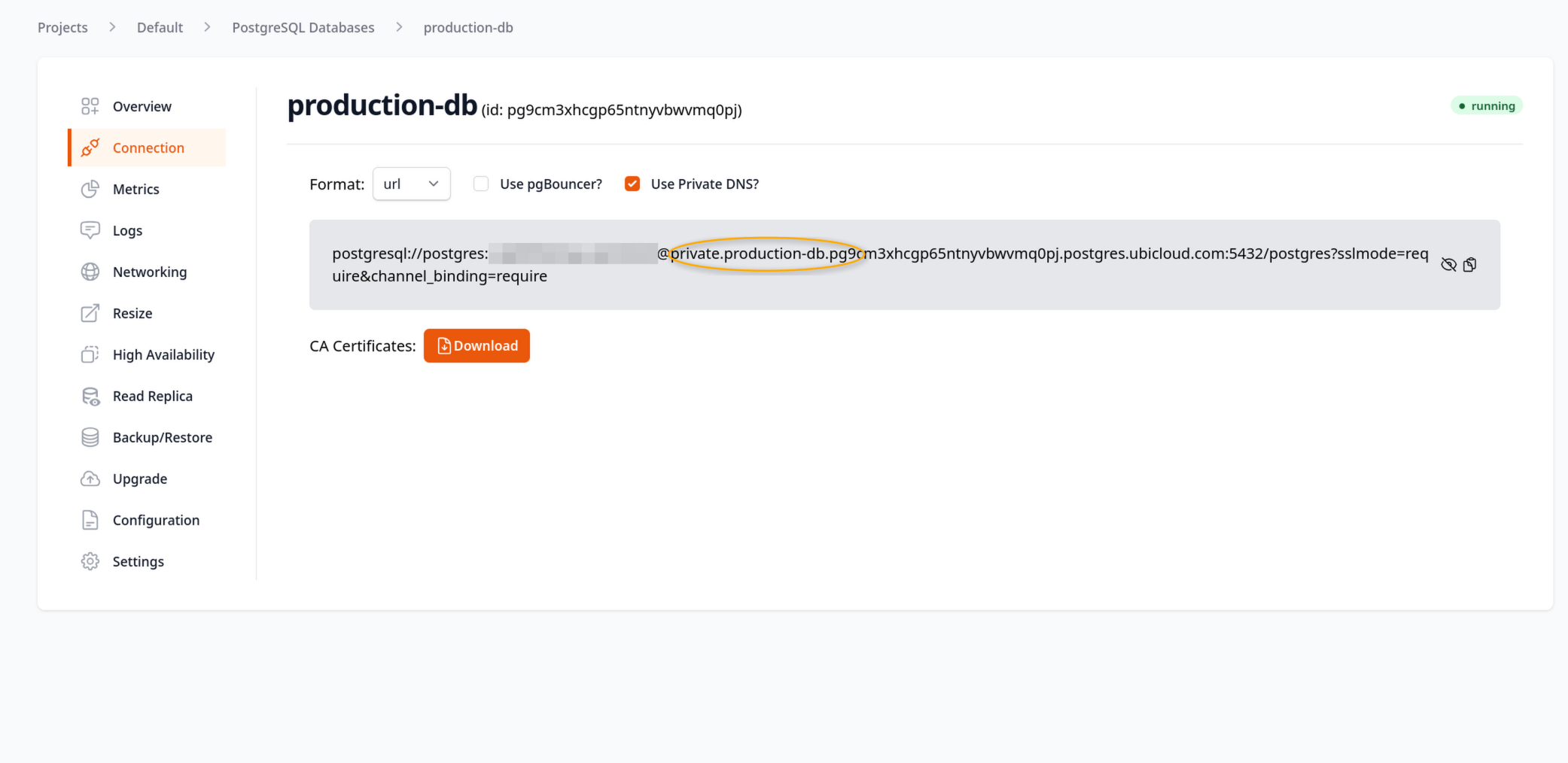 Private DNS for PostgreSQL