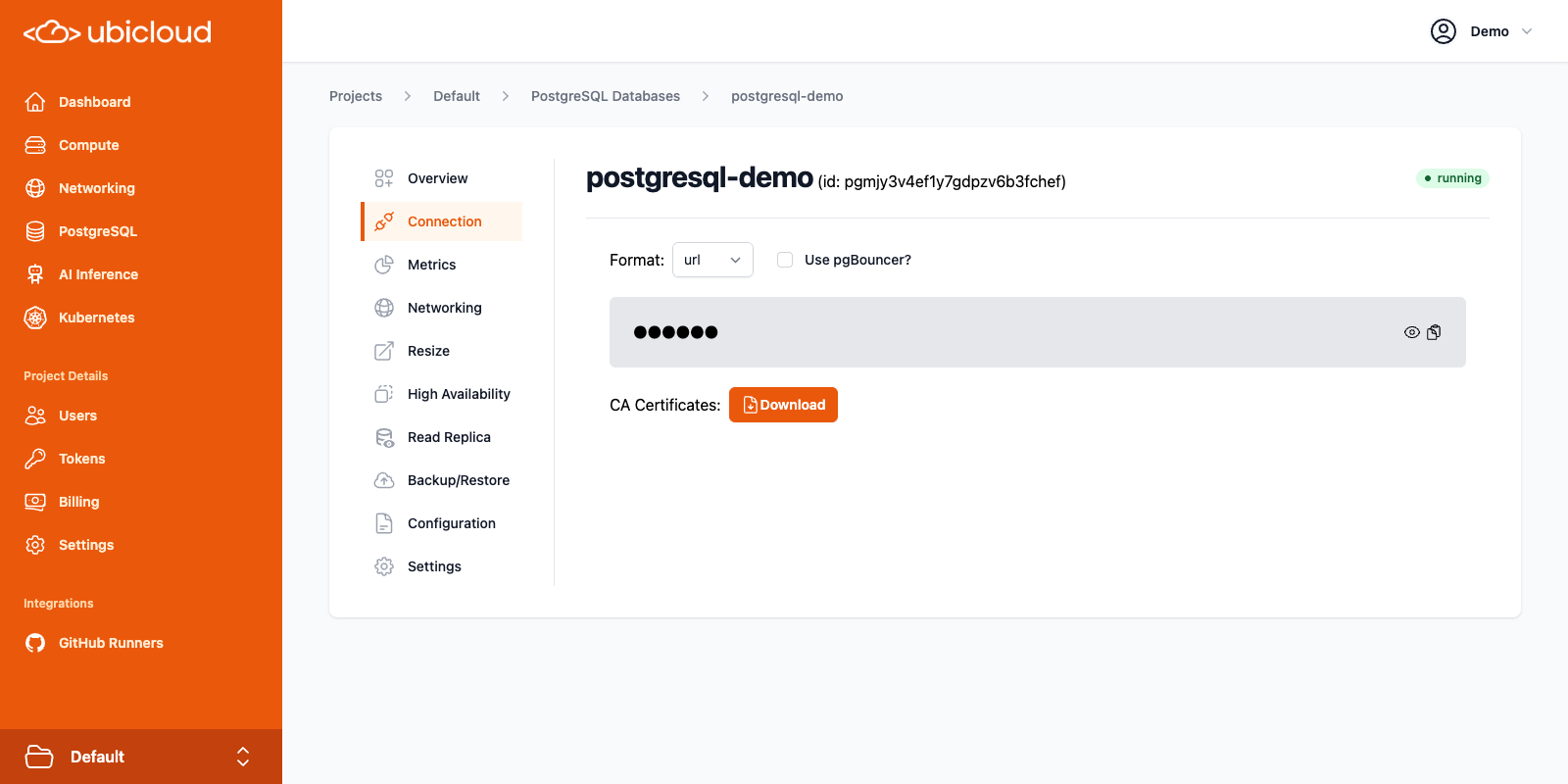 PostgreSQL Connection details