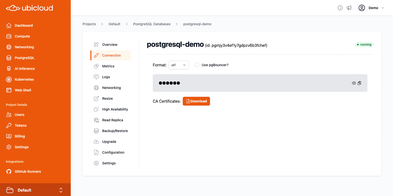 PostgreSQL Connection details