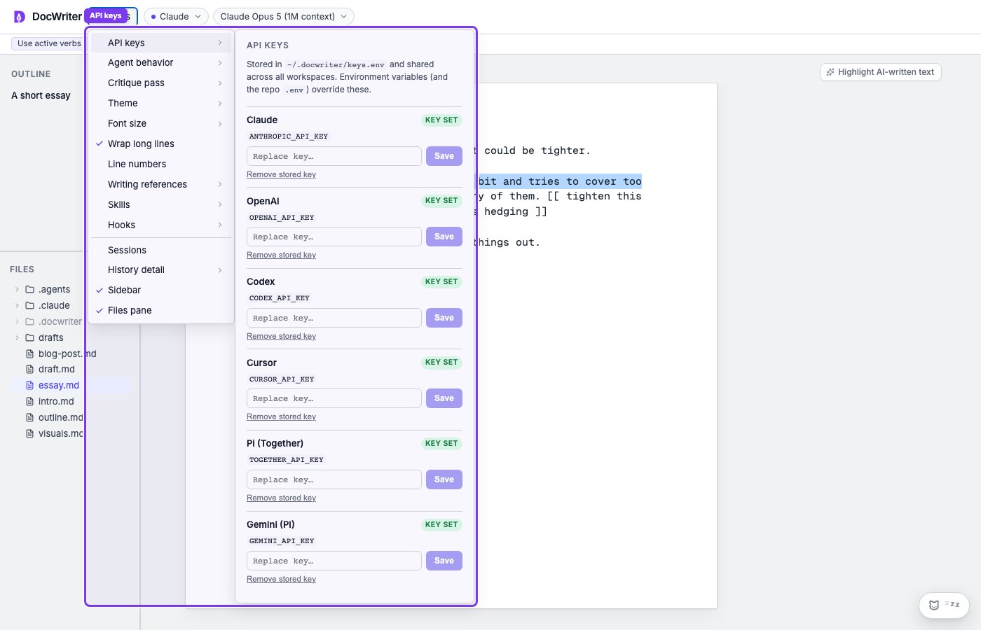 The API keys panel open from Settings
