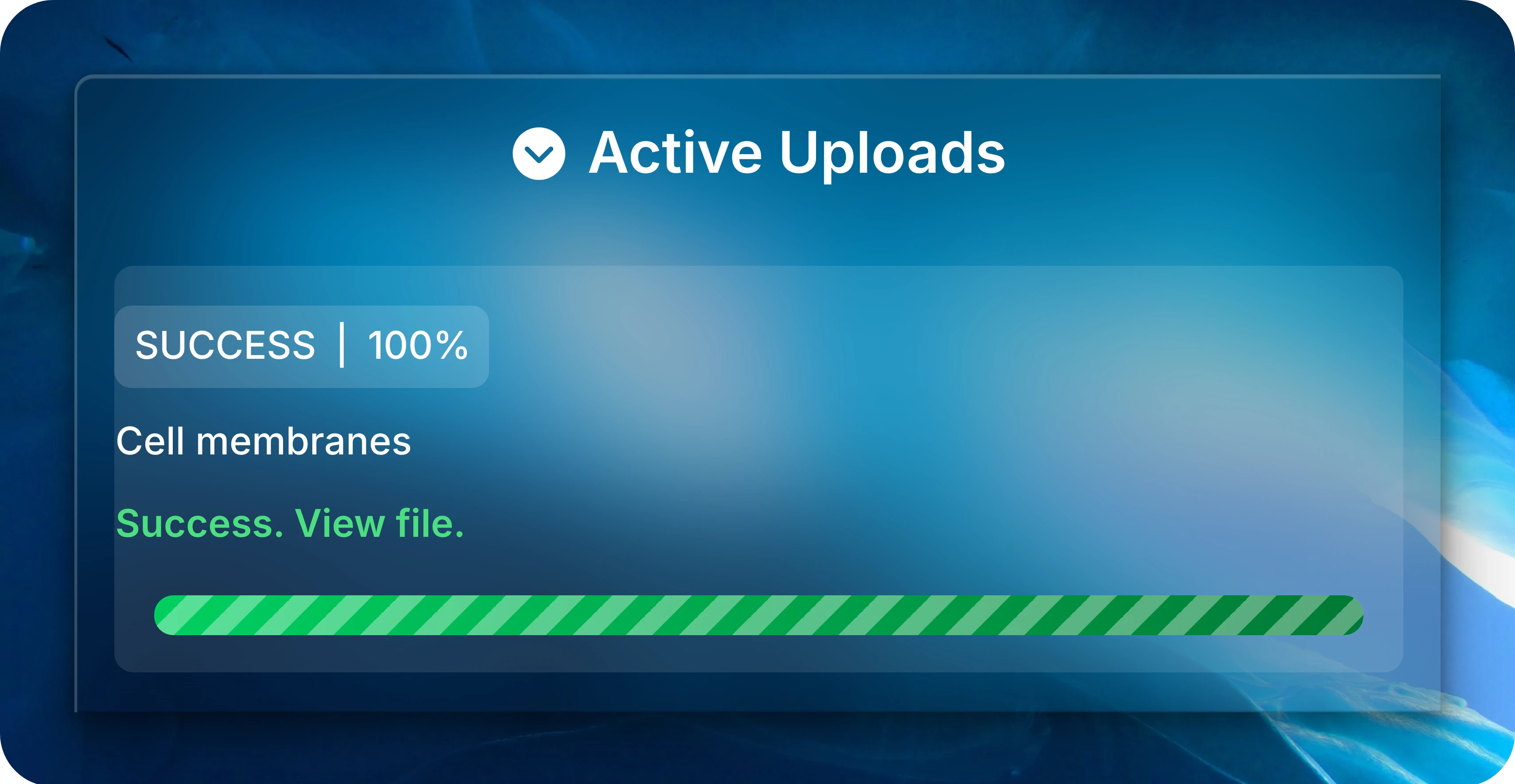 Active Uploads panel showing the example Cell membranes file at 100 percent with Success. View file.