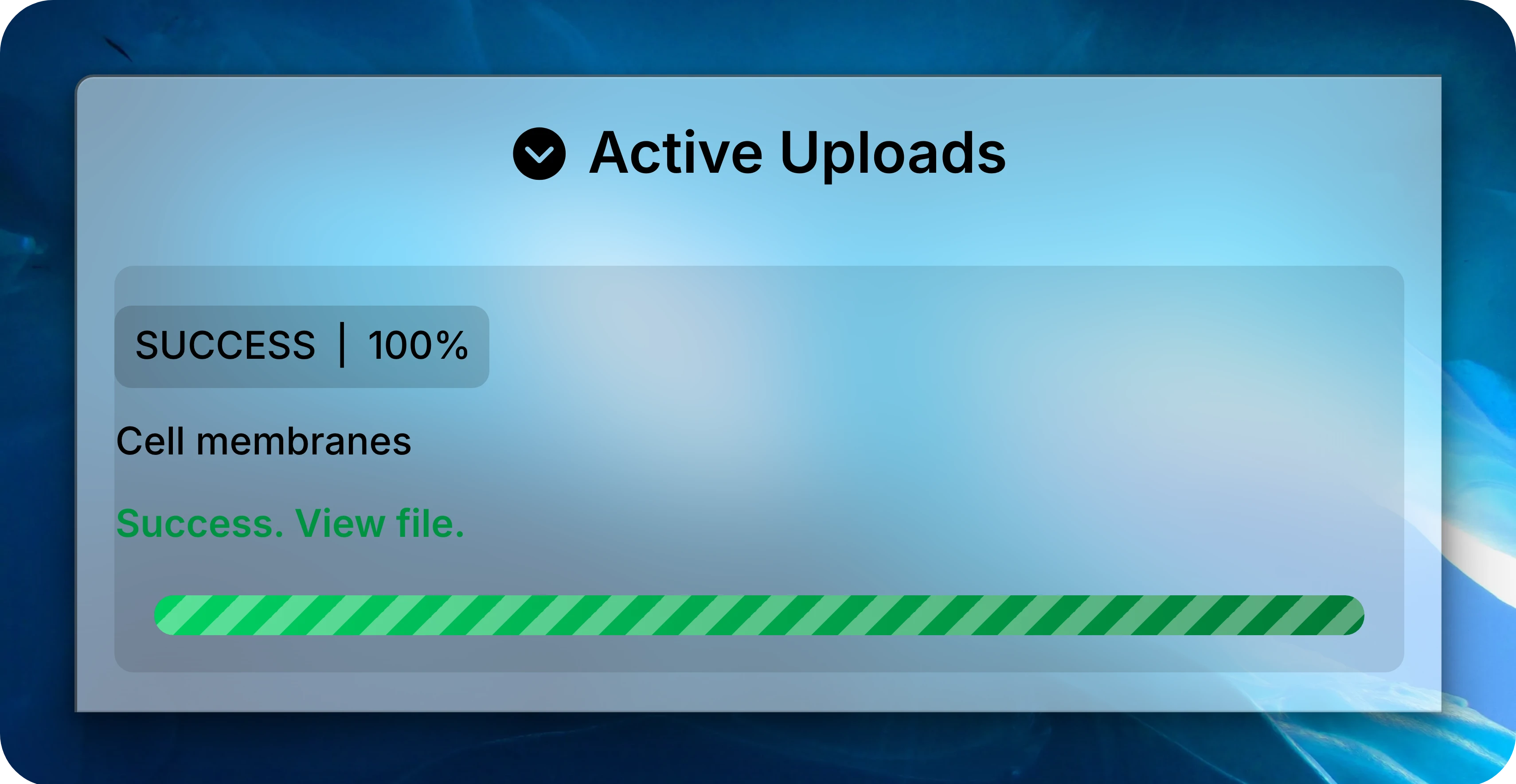 Active Uploads panel showing the example Cell membranes file at 100 percent with Success. View file.