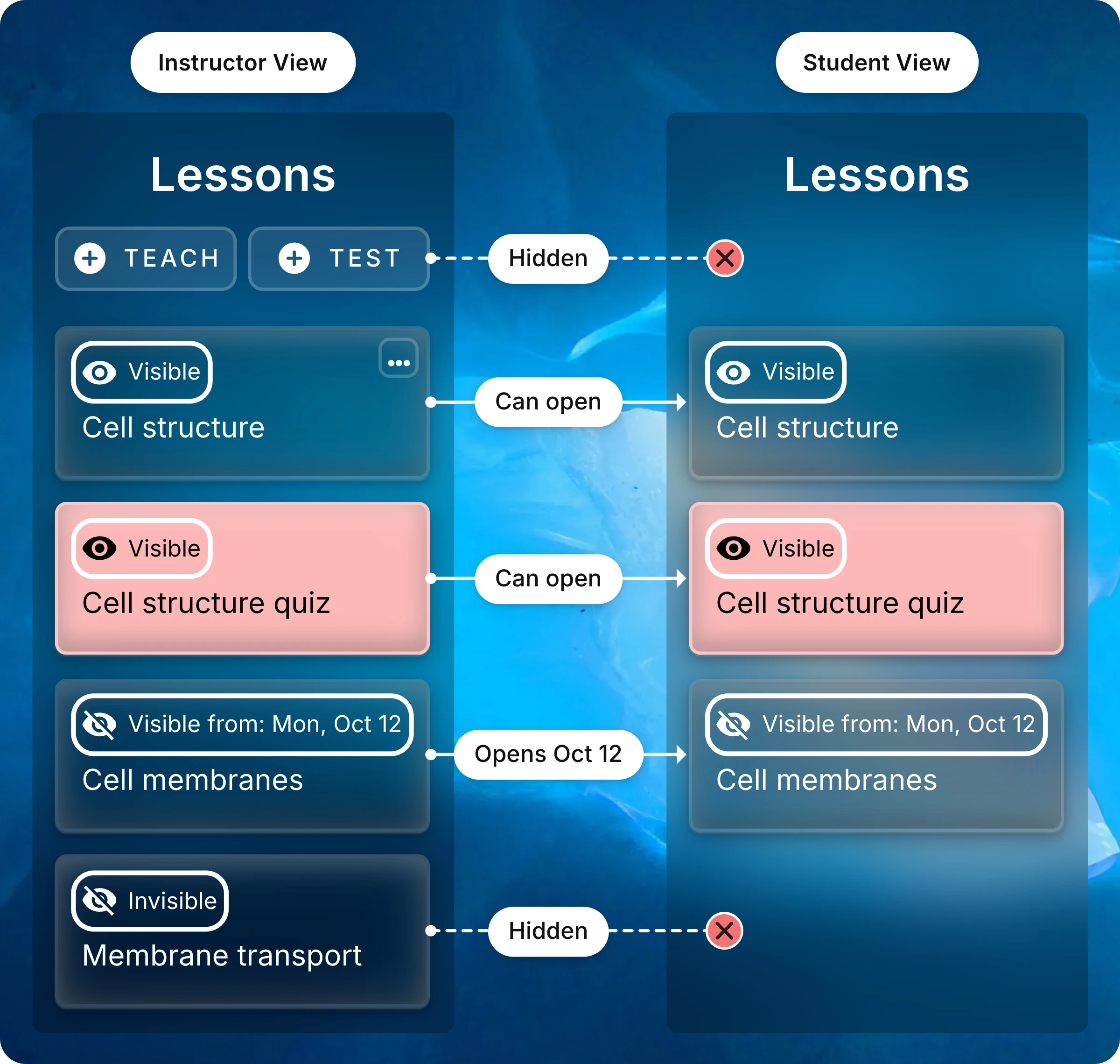 An instructor's Lessons list beside a student's, which has no Teach or Test buttons. Lines link each lesson's visibility label to what students get: Cell structure and Cell structure quiz can be opened, Cell membranes opens Oct 12, and Membrane transport is hidden from students.