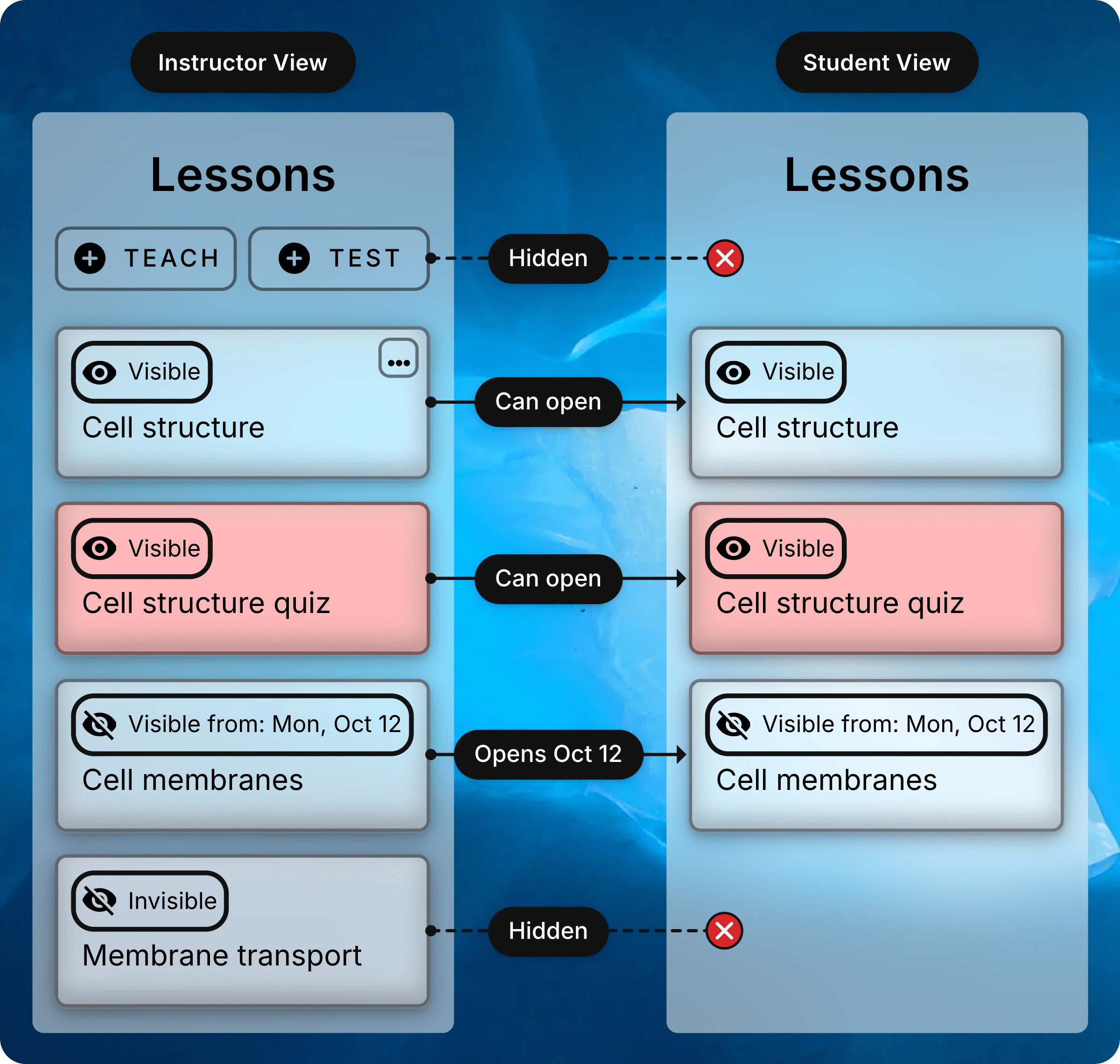 An instructor's Lessons list beside a student's, which has no Teach or Test buttons. Lines link each lesson's visibility label to what students get: Cell structure and Cell structure quiz can be opened, Cell membranes opens Oct 12, and Membrane transport is hidden from students.