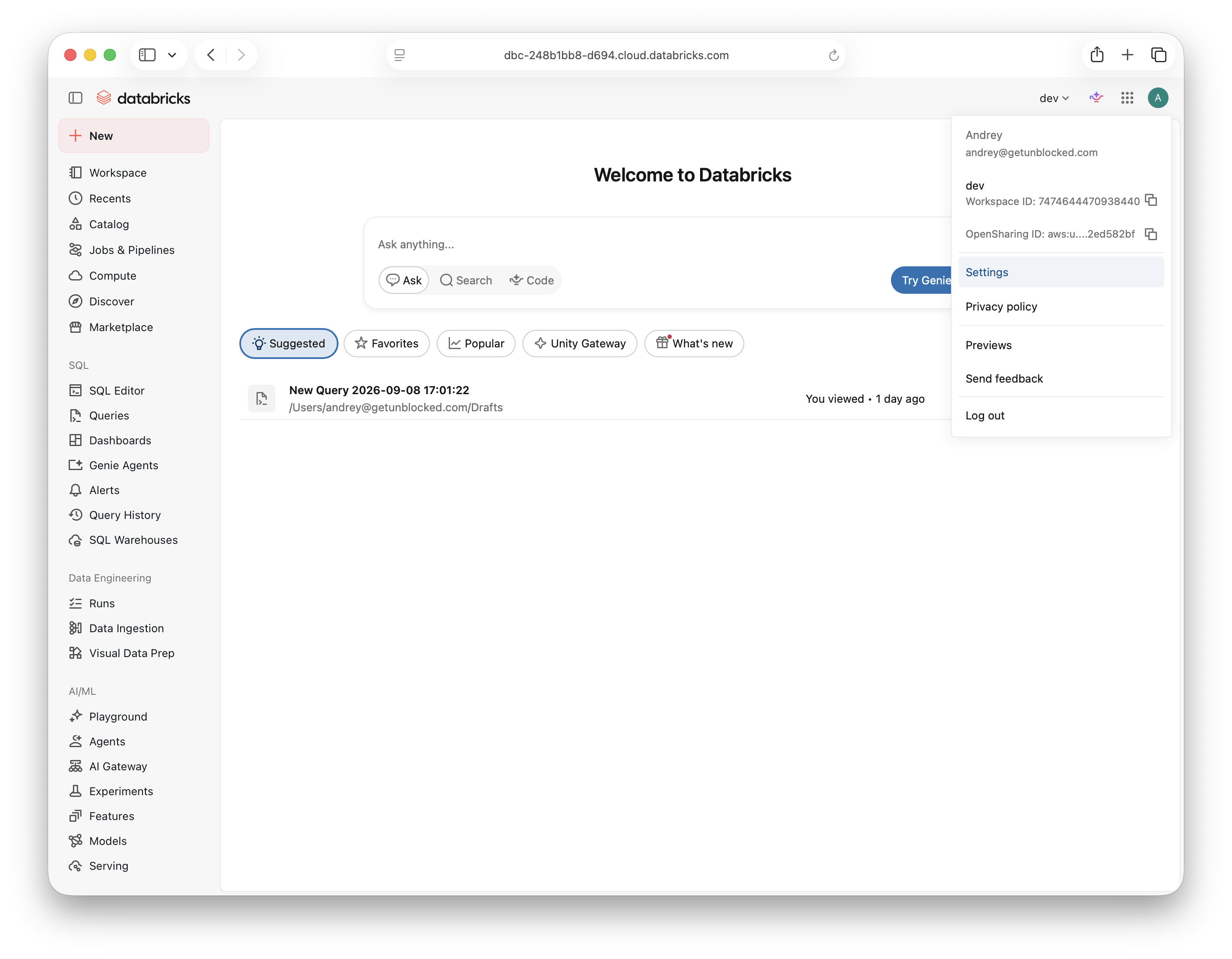 Databricks profile menu with Settings selected