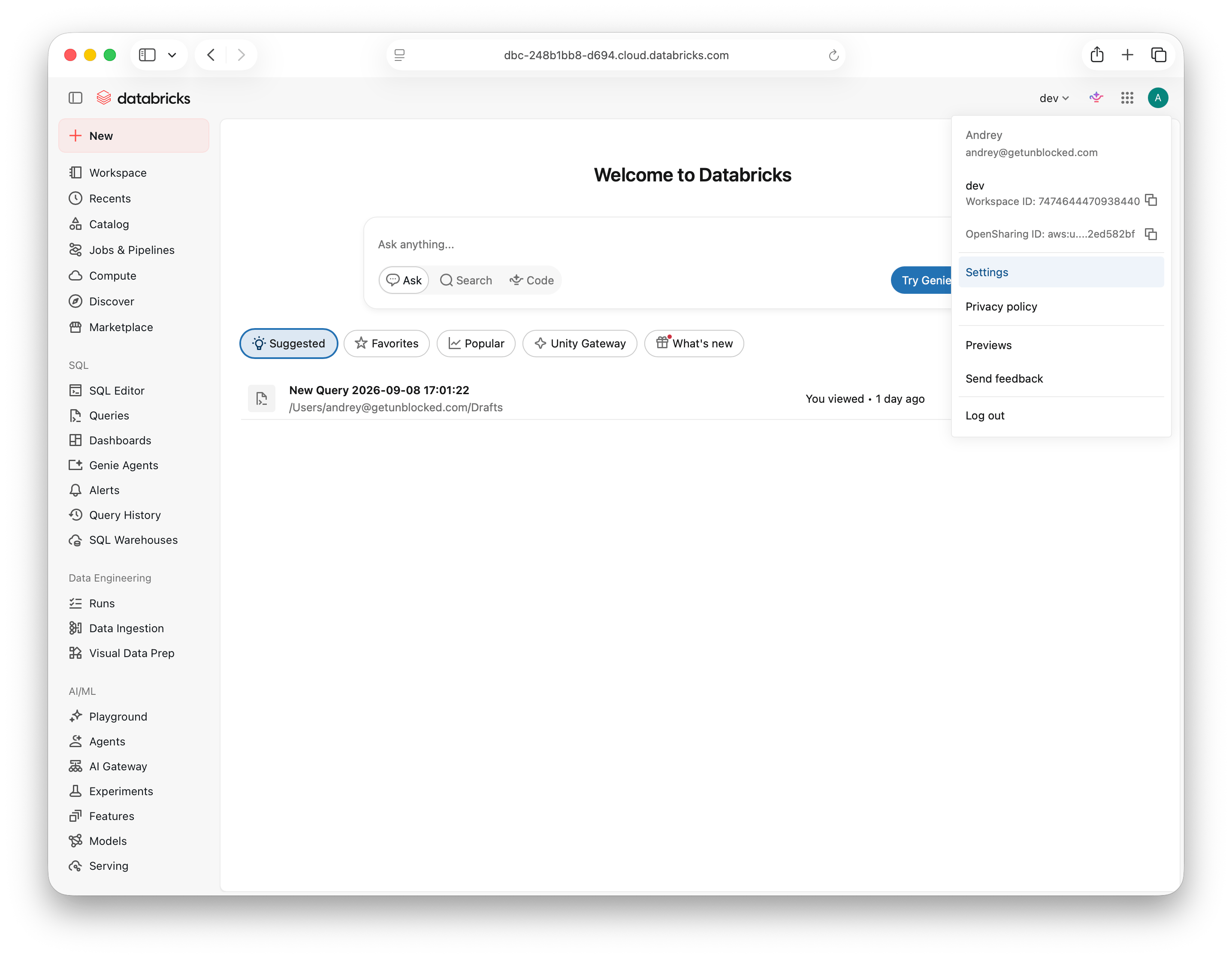 Databricks profile menu with Settings selected