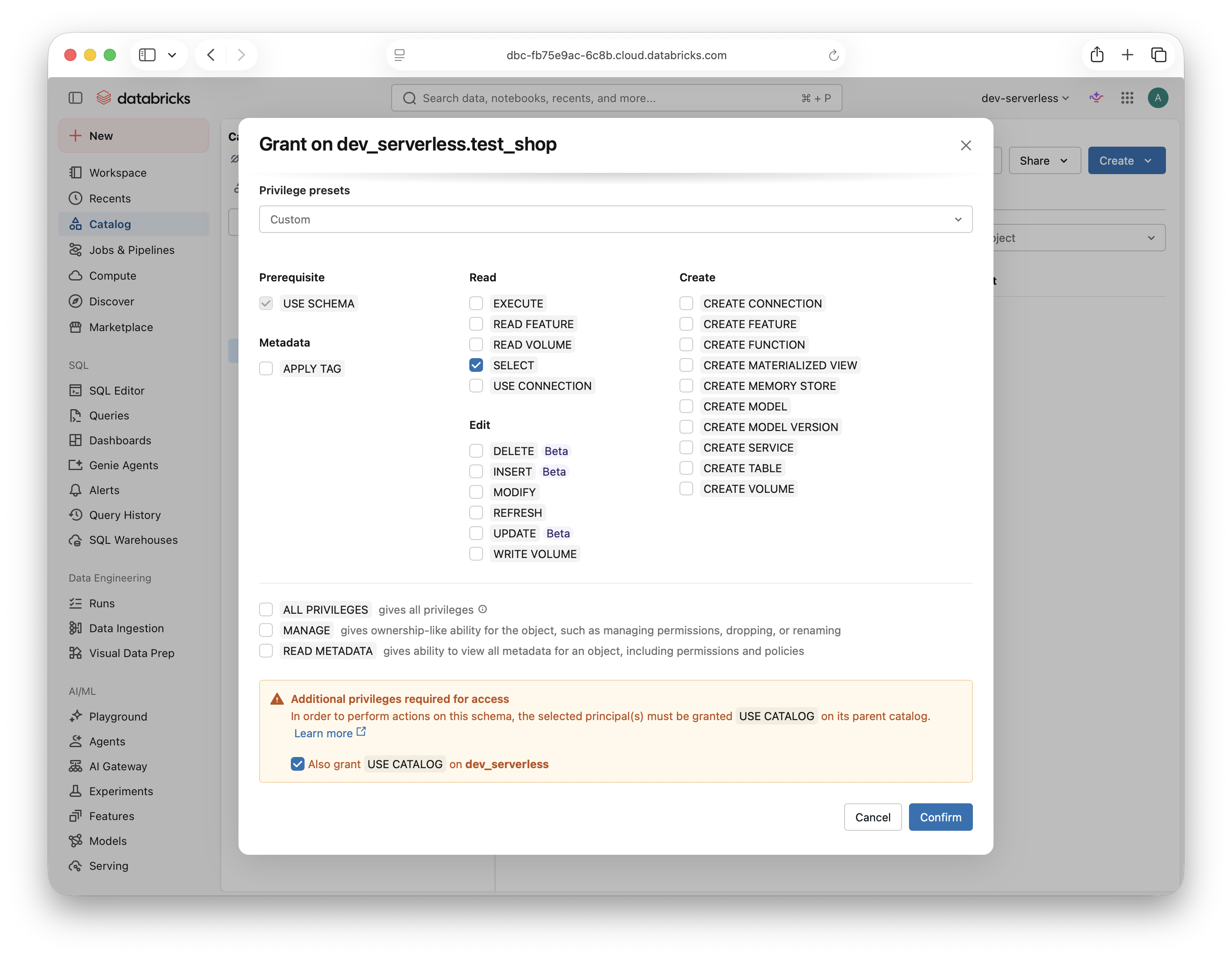Schema grant dialog with SELECT, USE SCHEMA, and the parent USE CATALOG grant selected