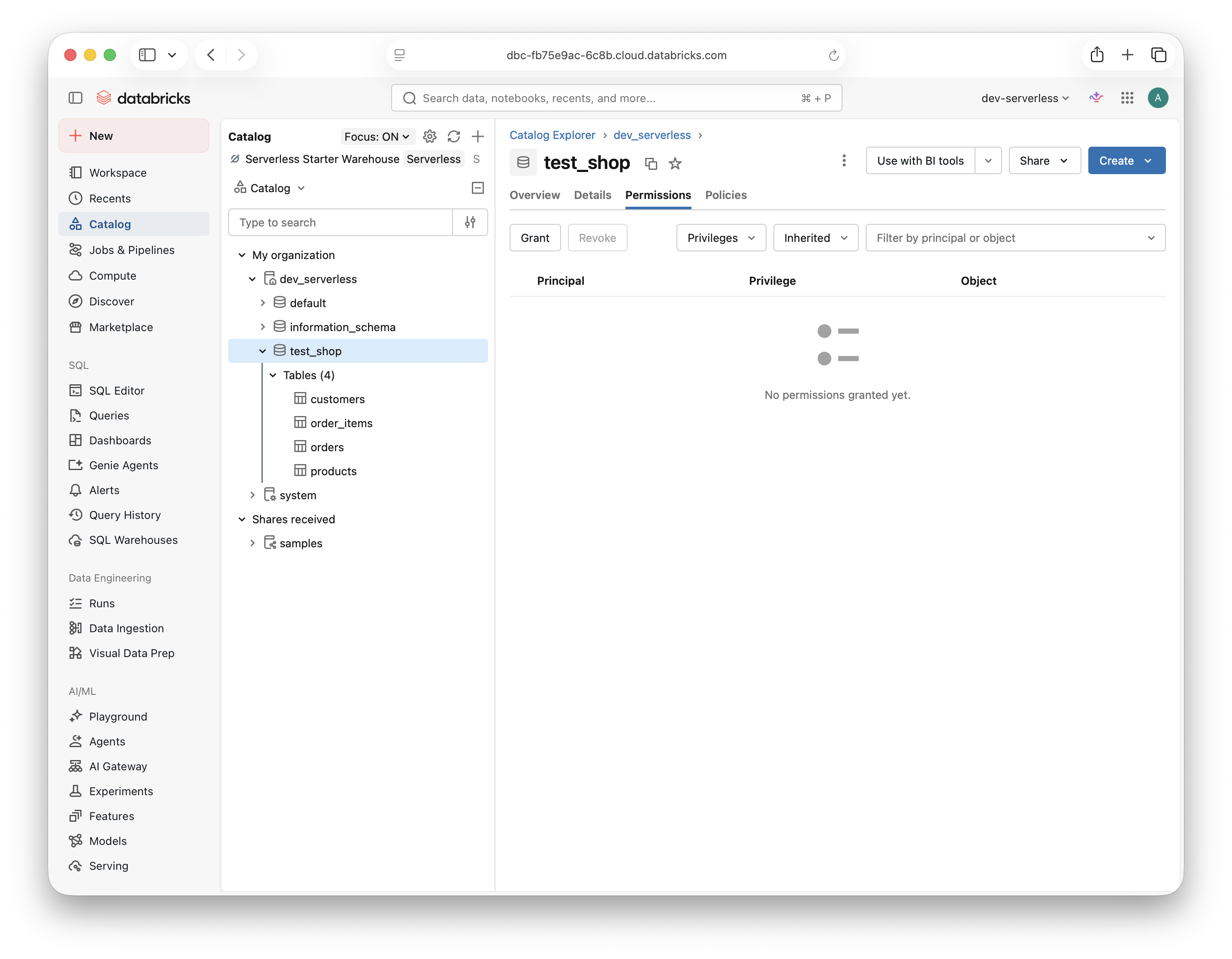 Schema Permissions tab with the Grant button