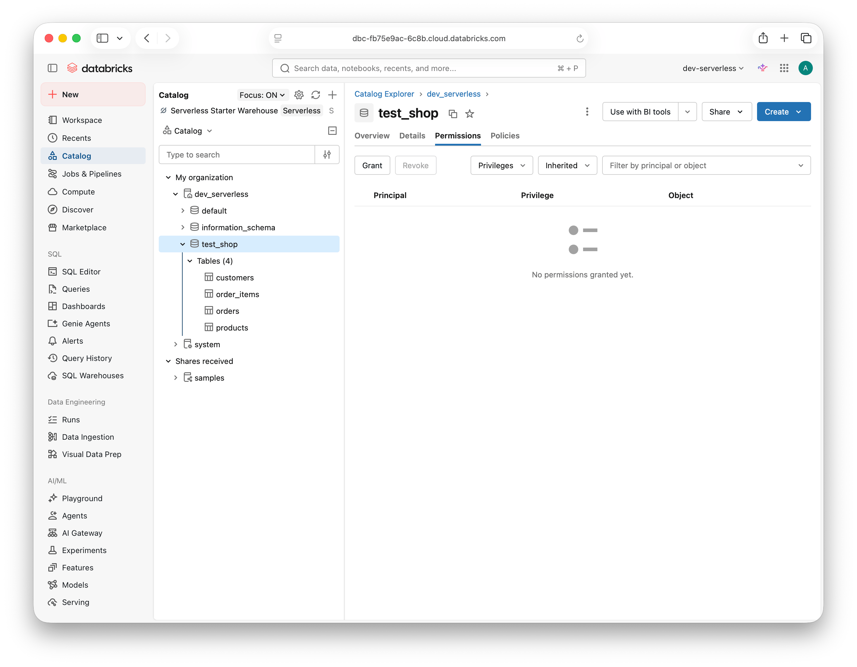 Schema Permissions tab with the Grant button