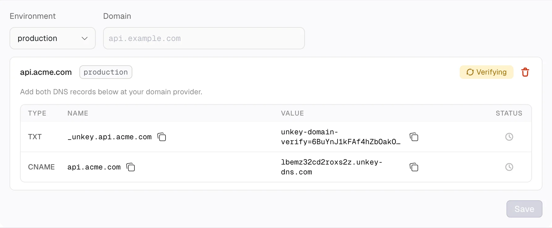 DNS records to add for domain verification showing TXT and CNAME entries