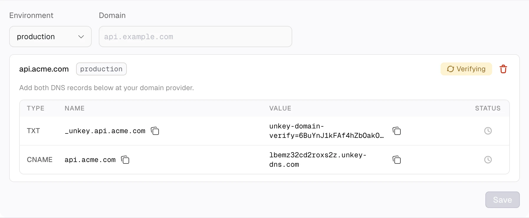 DNS records to add for domain verification showing TXT and CNAME entries
