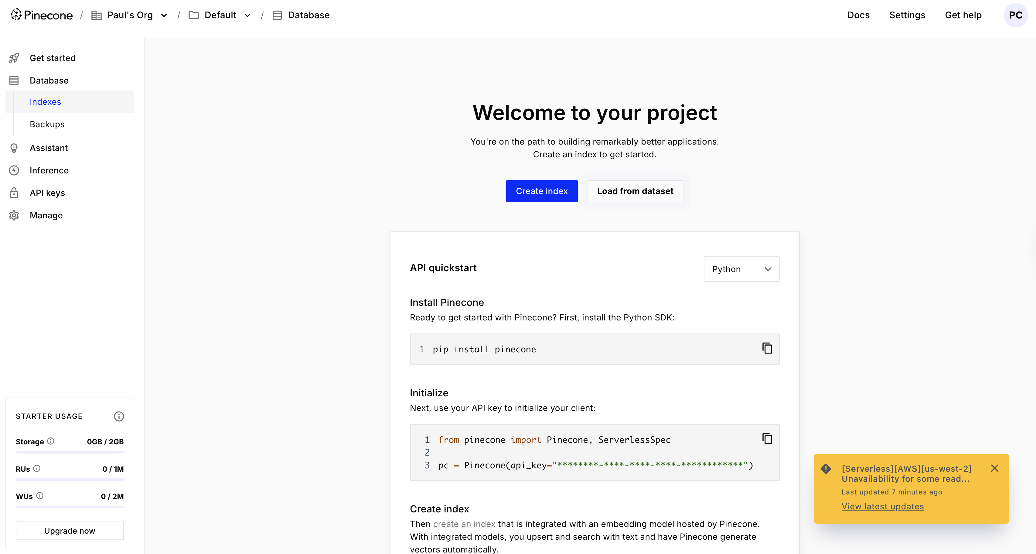 Pinecone user interface