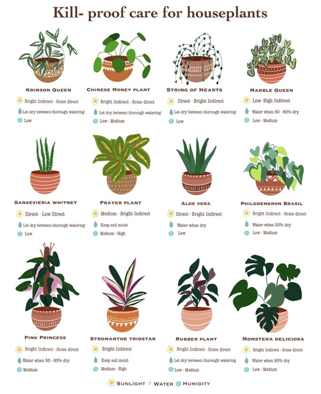 Caring for houseplants