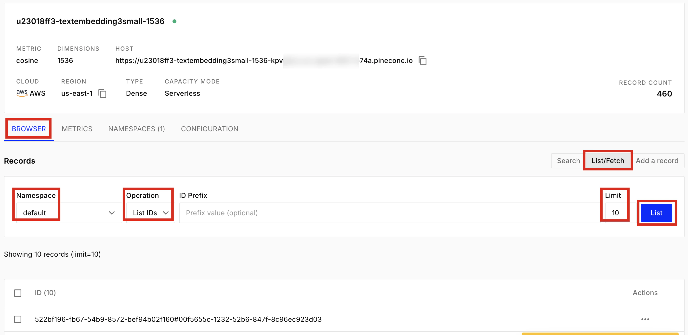 Listing Pinecone index items