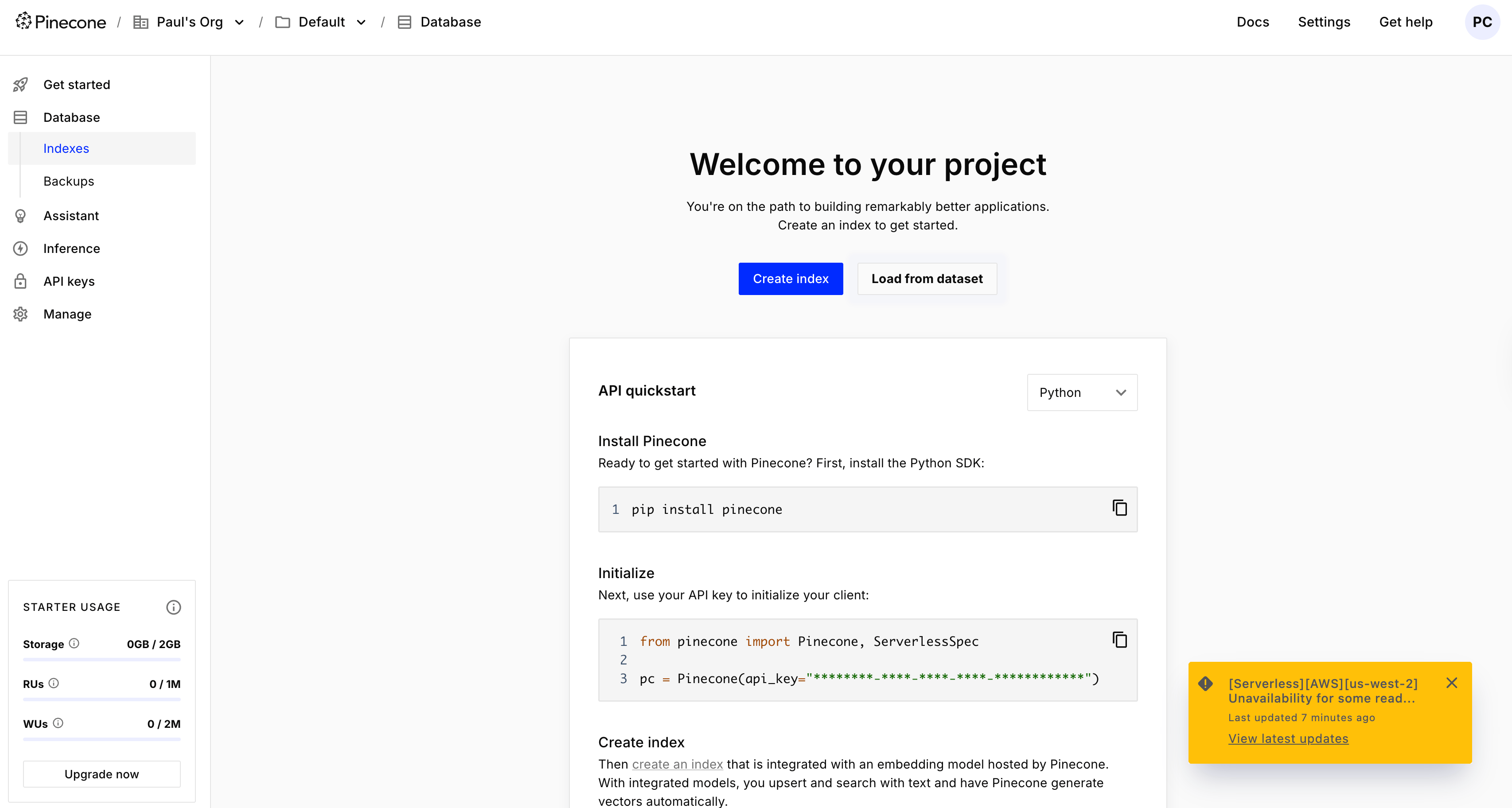 Pinecone user interface