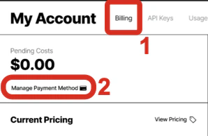 Unstructured account payment method
