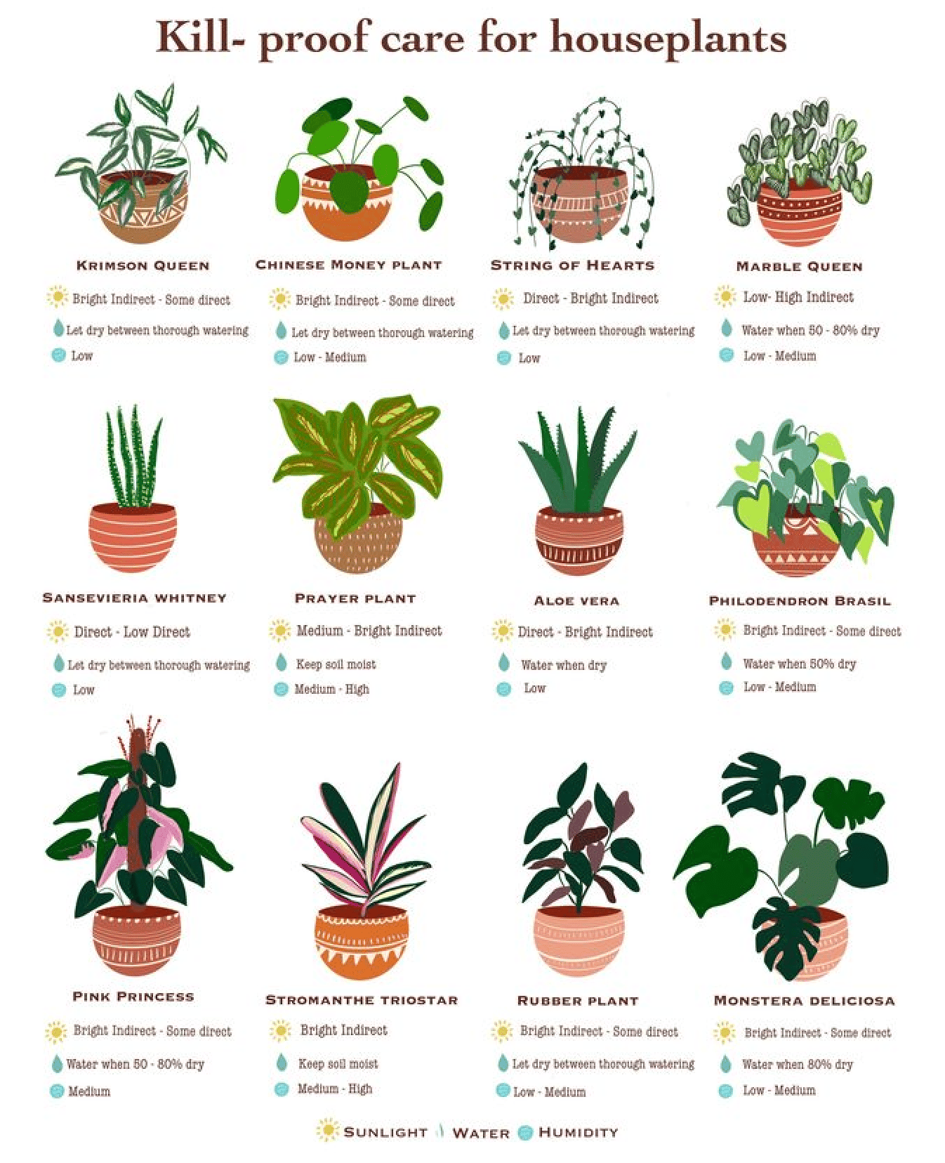 Caring for houseplants