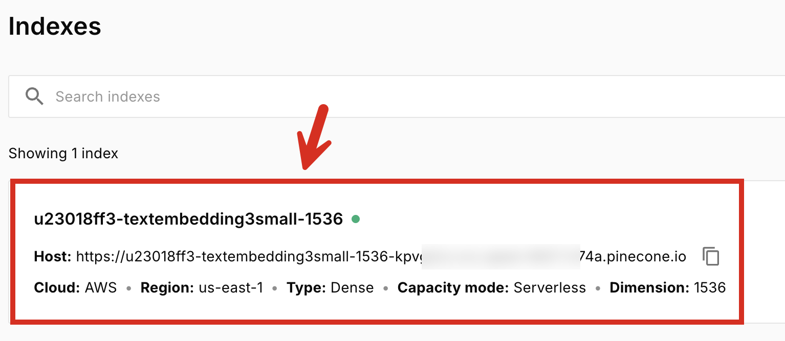 Opening a Pinecone index
