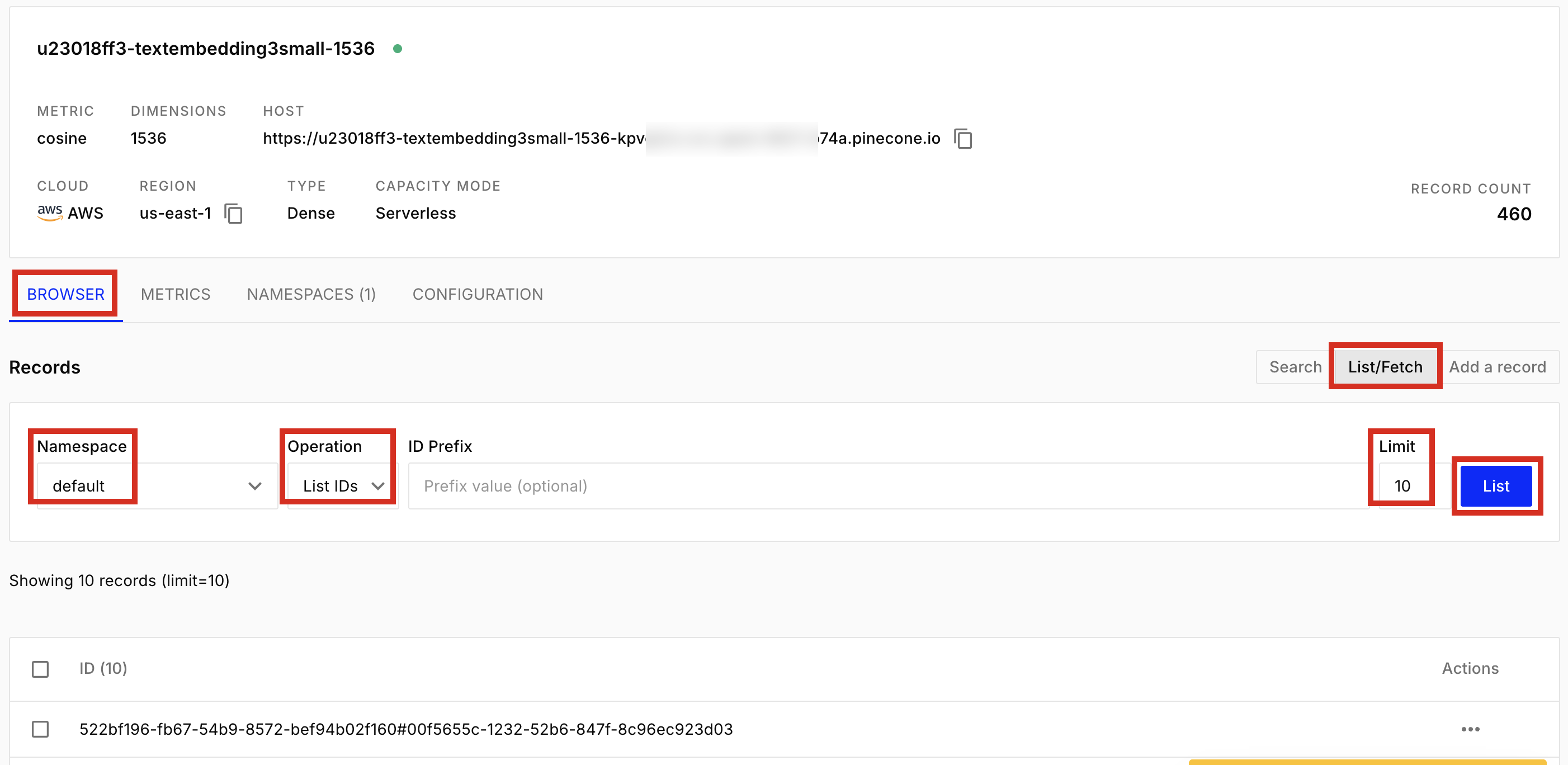 Listing Pinecone index items