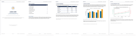 Example company annual report