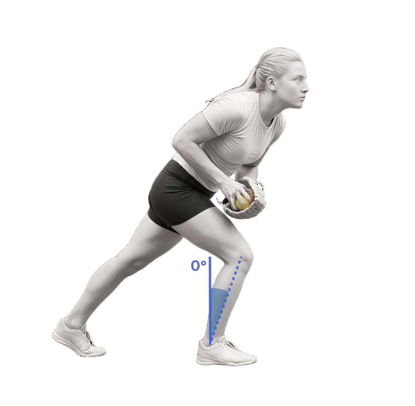 Shin angle during the loading phase