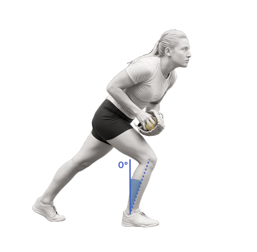 Shin angle during the loading phase