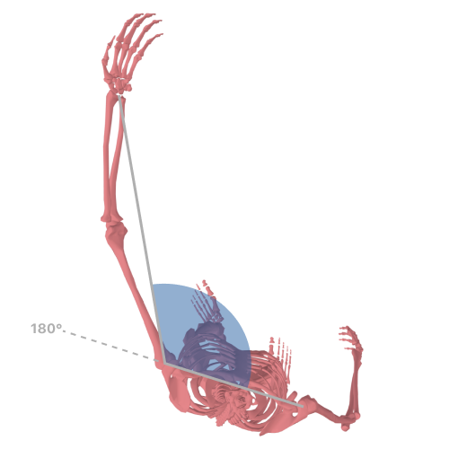 Ball toss angle at release