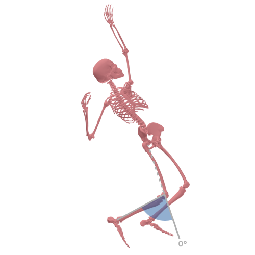 Knee flexion during loading phase
