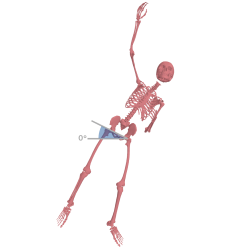 Pelvis tilt during loading