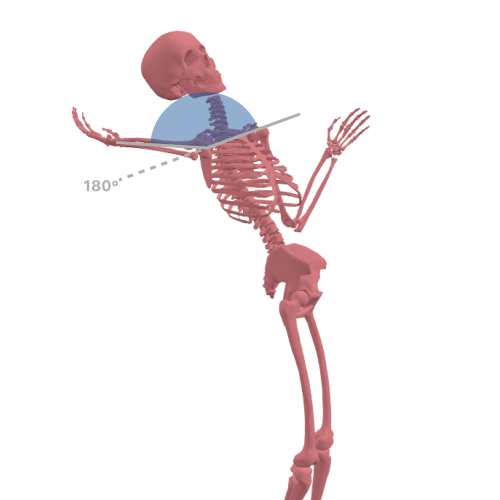 Shoulder external rotation during cocking