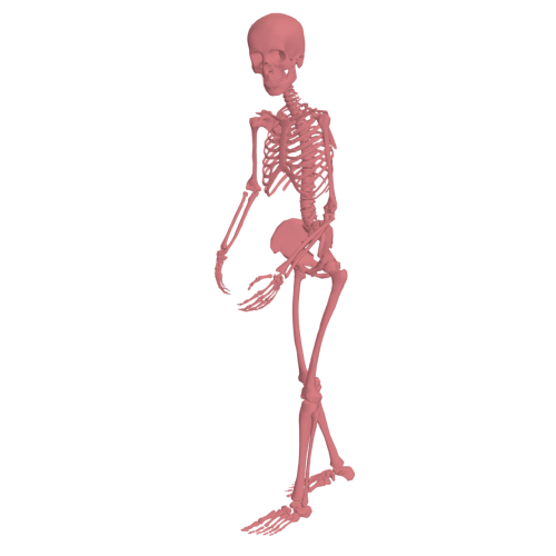 Serve start position